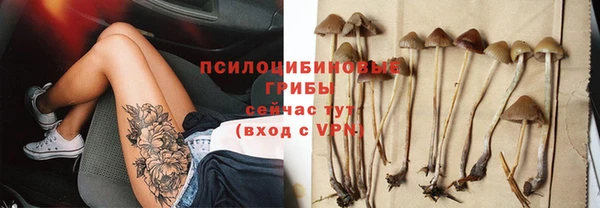 прущая мука Балахна